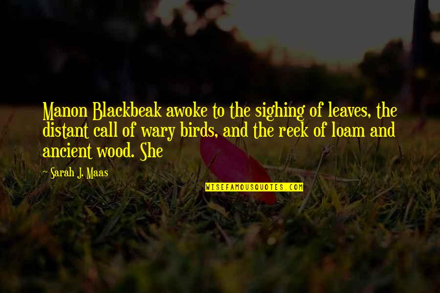 J A Wood Quotes By Sarah J. Maas: Manon Blackbeak awoke to the sighing of leaves,