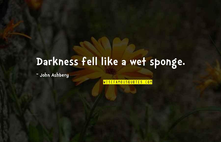 J Ashbery Quotes By John Ashbery: Darkness fell like a wet sponge.