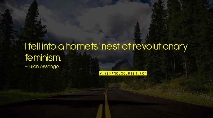 J Assange Quotes By Julian Assange: I fell into a hornets' nest of revolutionary