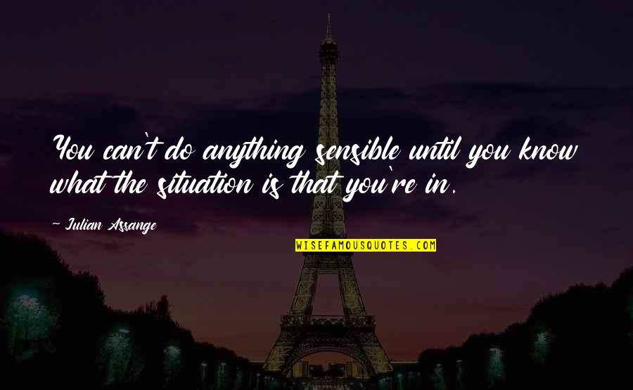 J Assange Quotes By Julian Assange: You can't do anything sensible until you know J Assange Quotes By Julian Assange: You can't do anything sensible until you know