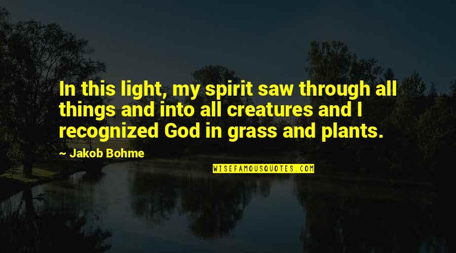 J Bohme Quotes By Jakob Bohme: In this light, my spirit saw through all