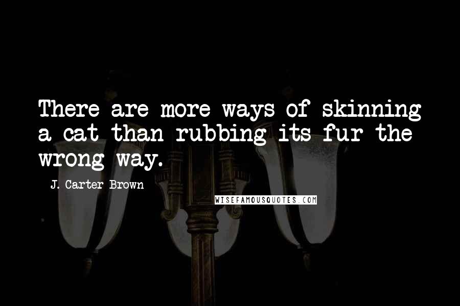 J. Carter Brown quotes: There are more ways of skinning a cat than rubbing its fur the wrong way.