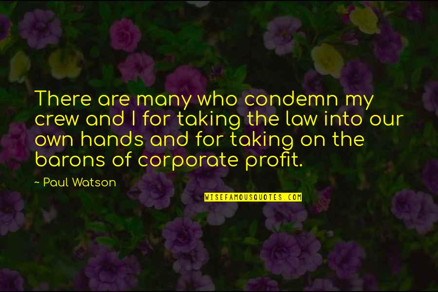 J Crew Quotes By Paul Watson: There are many who condemn my crew and