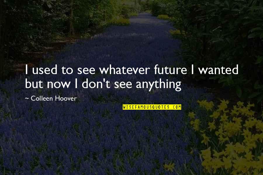 J E Hoover Quotes By Colleen Hoover: I used to see whatever future I wanted