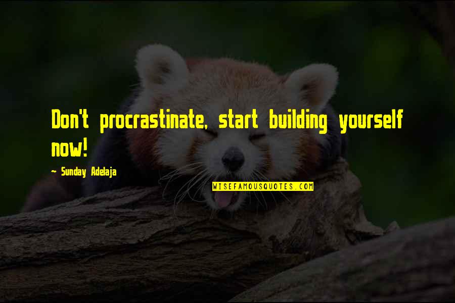 J Harlen Bretz Quotes By Sunday Adelaja: Don't procrastinate, start building yourself now!