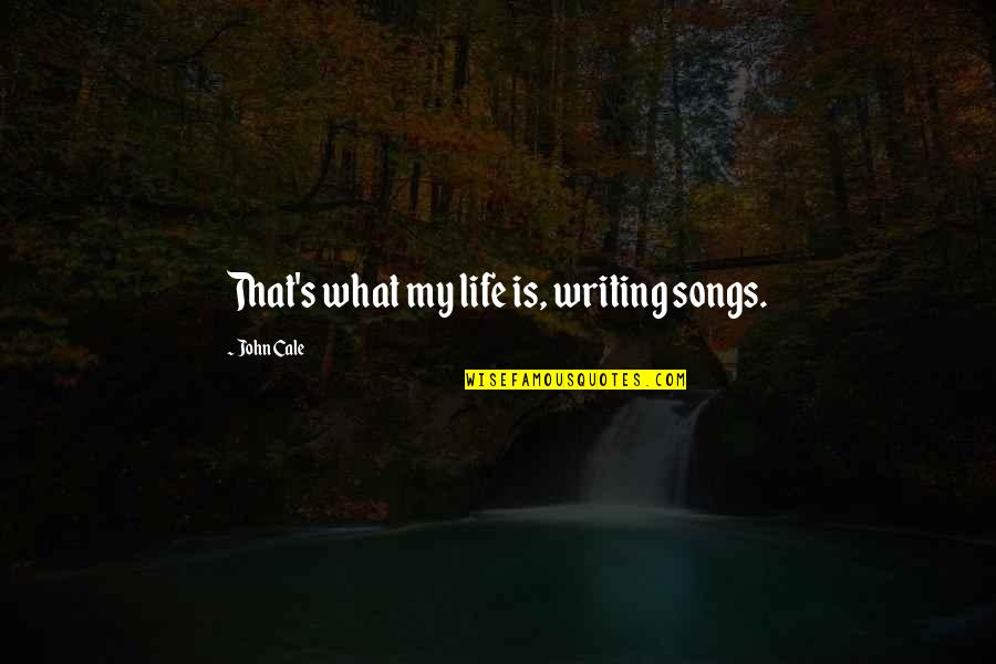 J J Cale Quotes By John Cale: That's what my life is, writing songs.