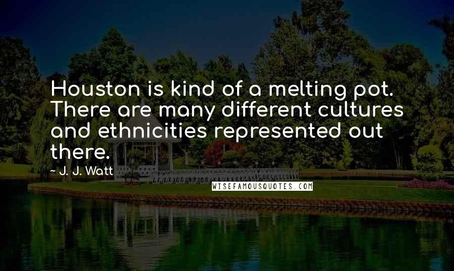 J. J. Watt quotes: Houston is kind of a melting pot. There are many different cultures and ethnicities represented out there.