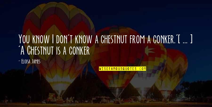 J L Chestnut Quotes By Eloisa James: You know I don't know a chestnut from