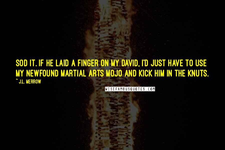 J.L. Merrow quotes: Sod it. If he laid a finger on my David, I'd just have to use my newfound martial arts mojo and kick him in the Knuts.