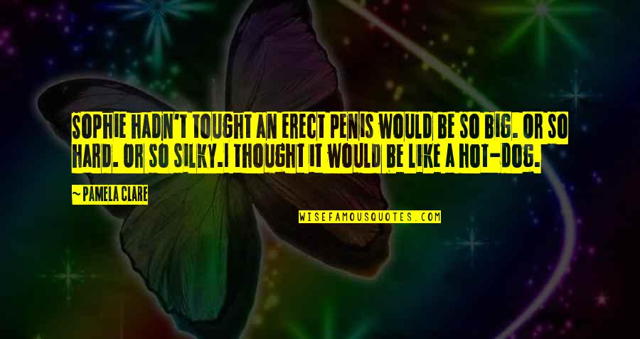 J Lahappdr Tti Sja Lfsbjarga Quotes By Pamela Clare: Sophie hadn't tought an erect penis would be J Lahappdr Tti Sja Lfsbjarga Quotes By Pamela Clare: Sophie hadn't tought an erect penis would be