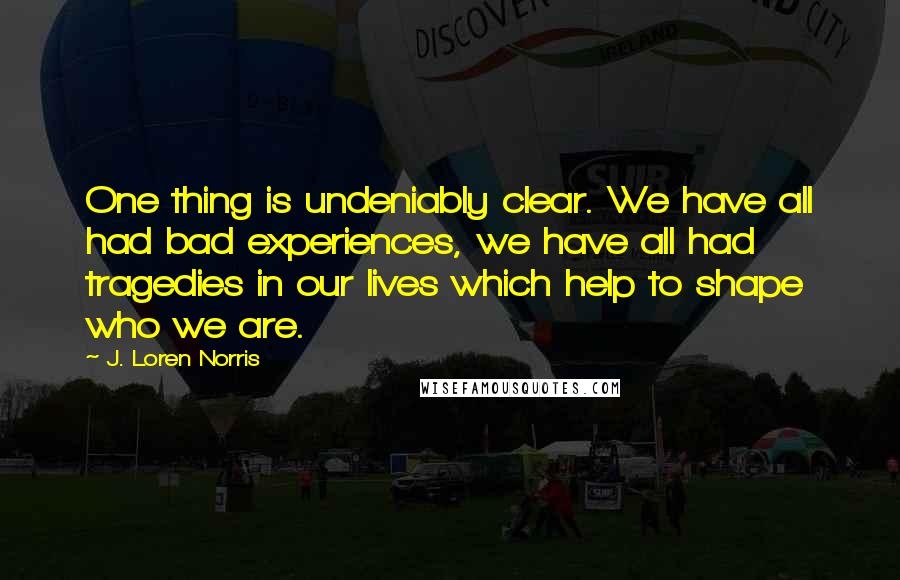 J. Loren Norris quotes: One thing is undeniably clear. We have all had bad experiences, we have all had tragedies in our lives which help to shape who we are.