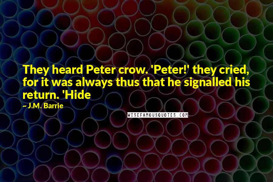 J.M. Barrie quotes: They heard Peter crow. 'Peter!' they cried, for it was always thus that he signalled his return. 'Hide