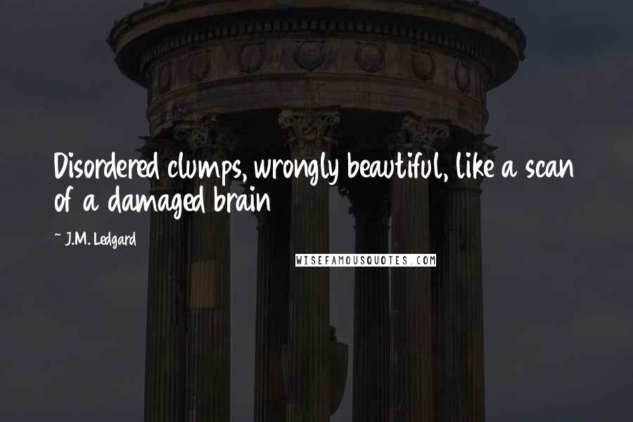 J.M. Ledgard quotes: Disordered clumps, wrongly beautiful, like a scan of a damaged brain