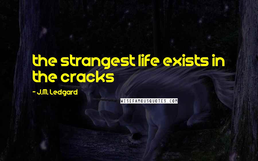 J.M. Ledgard quotes: the strangest life exists in the cracks