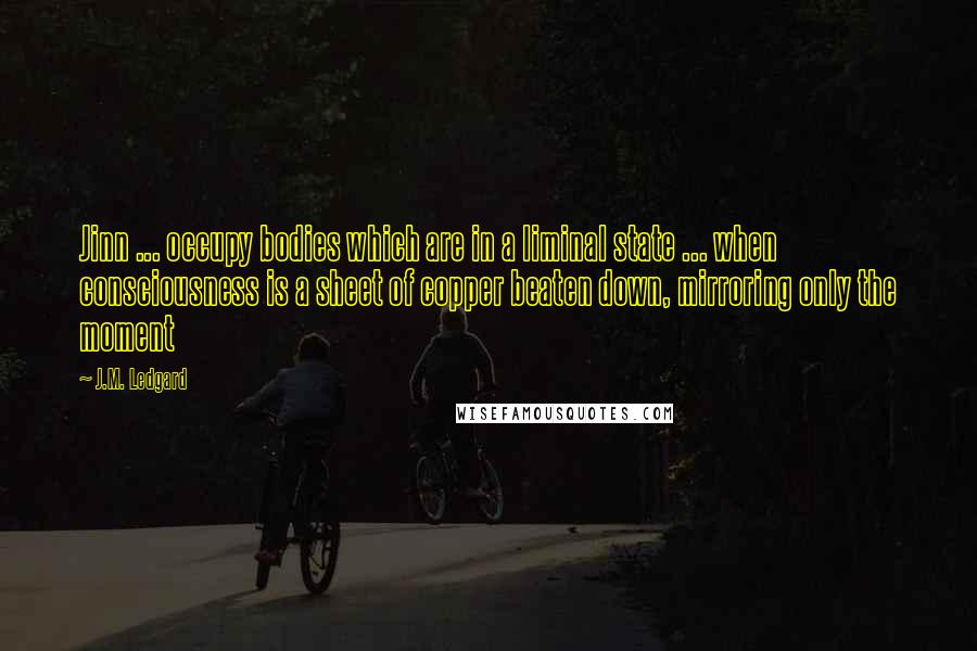 J.M. Ledgard quotes: Jinn ... occupy bodies which are in a liminal state ... when consciousness is a sheet of copper beaten down, mirroring only the moment