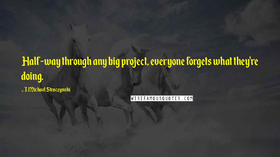 J. Michael Straczynski quotes: Half-way through any big project, everyone forgets what they're doing.