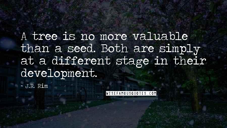J.R. Rim quotes: A tree is no more valuable than a seed. Both are simply at a different stage in their development.