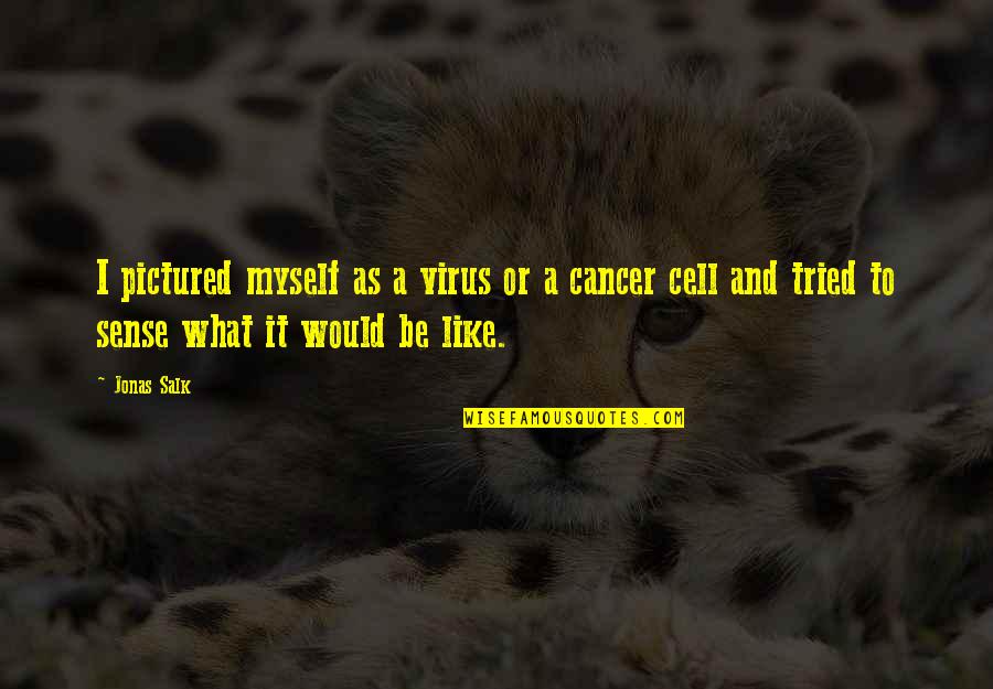 J Salk Quotes By Jonas Salk: I pictured myself as a virus or a J Salk Quotes By Jonas Salk: I pictured myself as a virus or a