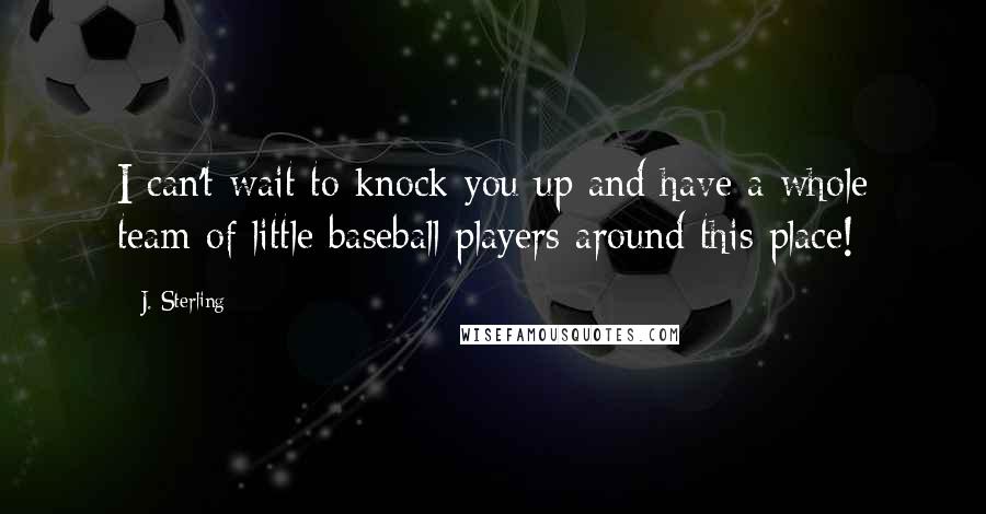 J. Sterling quotes: I can't wait to knock you up and have a whole team of little baseball players around this place!