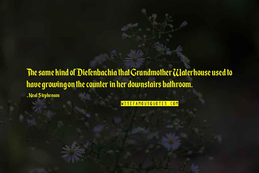 J W Waterhouse Quotes By Neal Stephenson: The same kind of Diefenbachia that Grandmother Waterhouse