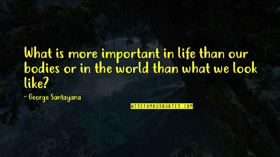 J85 Quotes By George Santayana: What is more important in life than our