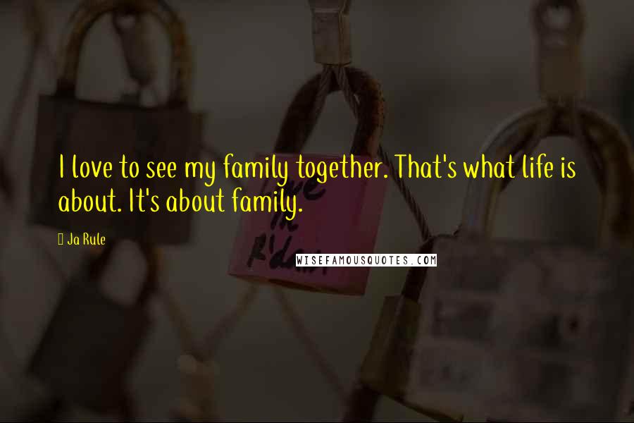 Ja Rule quotes: I love to see my family together. That's what life is about. It's about family.