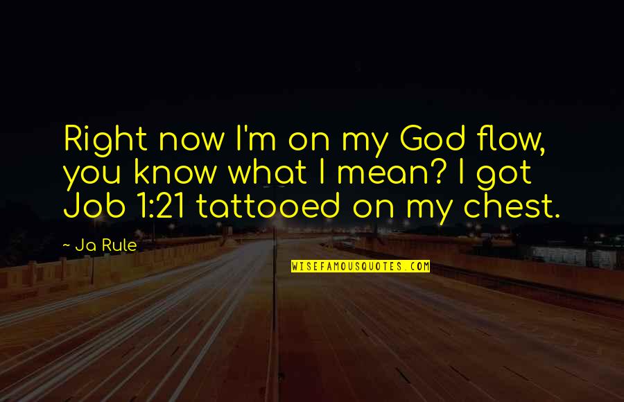 Ja(t)uh Quotes By Ja Rule: Right now I'm on my God flow, you