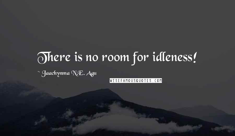 Jaachynma N.E. Agu quotes: There is no room for idleness!