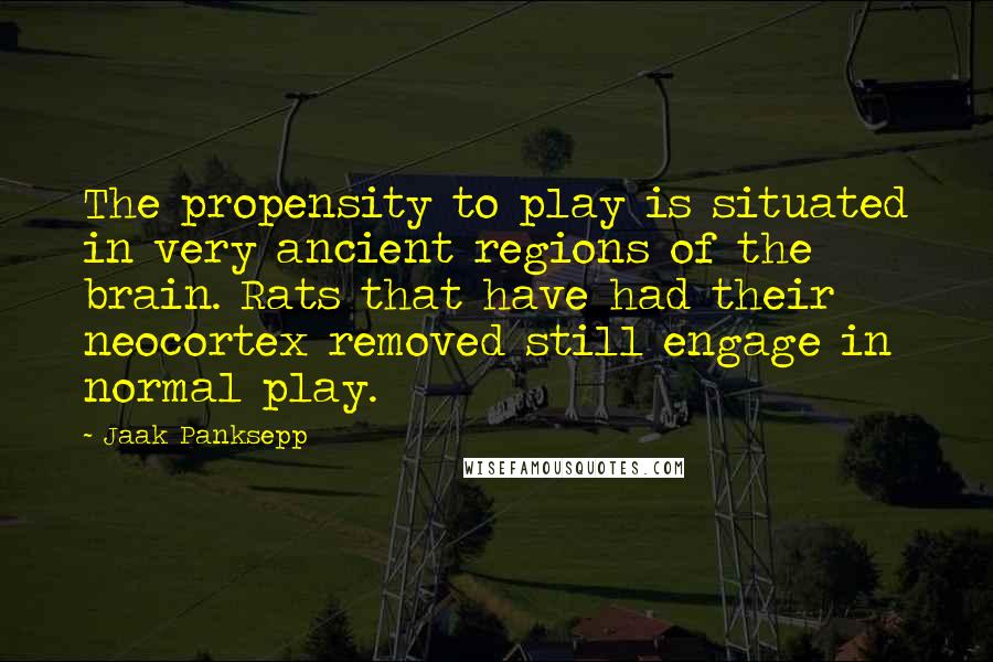 Jaak Panksepp quotes: The propensity to play is situated in very ancient regions of the brain. Rats that have had their neocortex removed still engage in normal play.