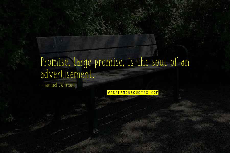 Jab We Met Funny Quotes By Samuel Johnson: Promise, large promise, is the soul of an