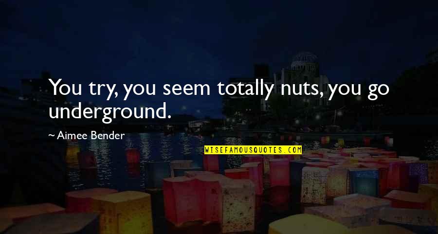 Jaccard Super Quotes By Aimee Bender: You try, you seem totally nuts, you go Jaccard Super Quotes By Aimee Bender: You try, you seem totally nuts, you go