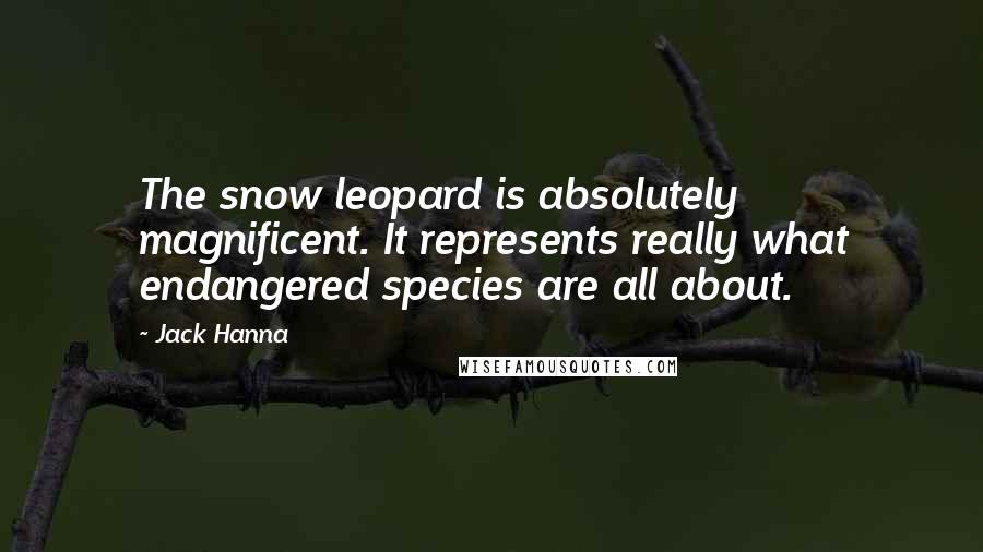 Jack Hanna quotes: The snow leopard is absolutely magnificent. It represents really what endangered species are all about.