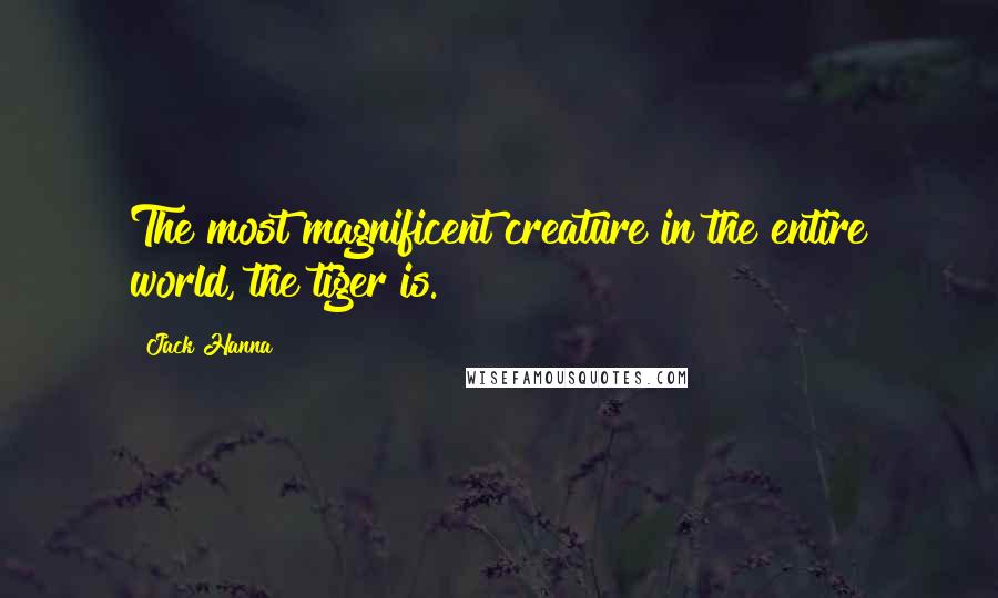 Jack Hanna quotes: The most magnificent creature in the entire world, the tiger is.