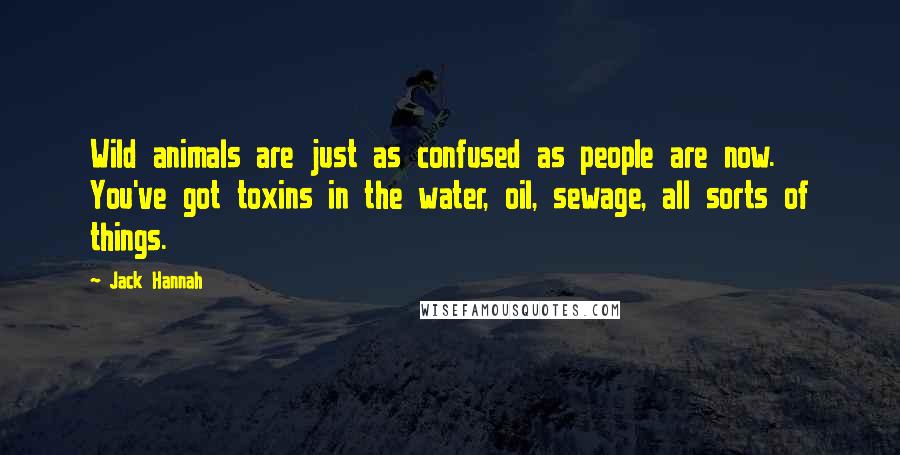 Jack Hannah quotes: Wild animals are just as confused as people are now. You've got toxins in the water, oil, sewage, all sorts of things.