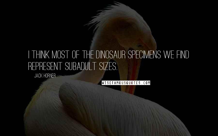 Jack Horner quotes: I think most of the dinosaur specimens we find represent subadult sizes.