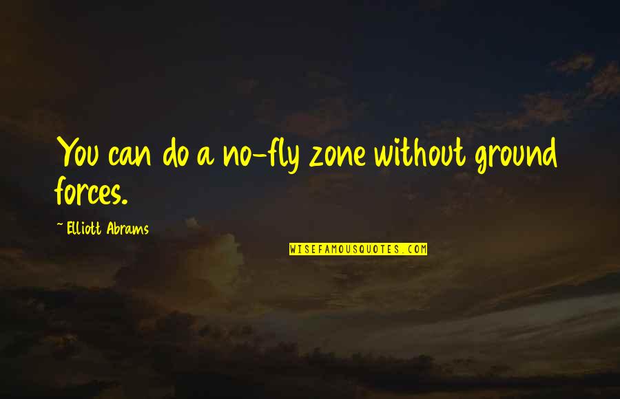 Jack In The Box Funny Quotes By Elliott Abrams: You can do a no-fly zone without ground