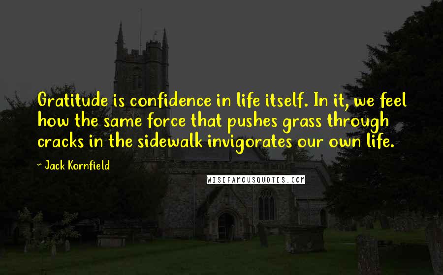 Jack Kornfield quotes: Gratitude is confidence in life itself. In it, we feel how the same force that pushes grass through cracks in the sidewalk invigorates our own life.