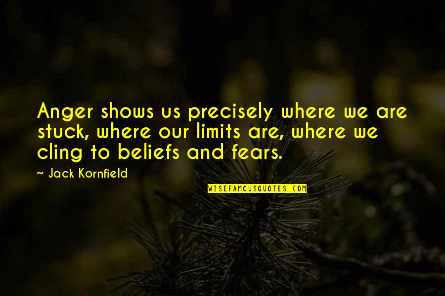 Jack Kornfield Quotes By Jack Kornfield: Anger shows us precisely where we are stuck,