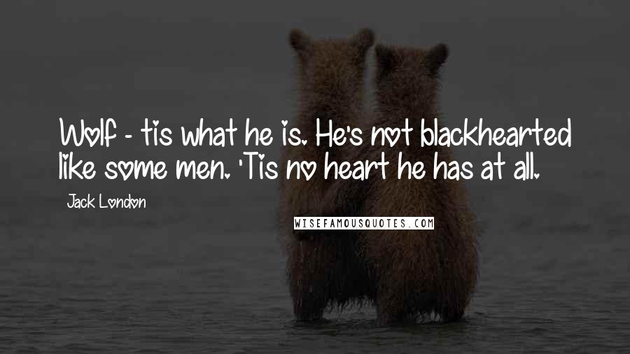 Jack London quotes: Wolf - tis what he is. He's not blackhearted like some men. 'Tis no heart he has at all.