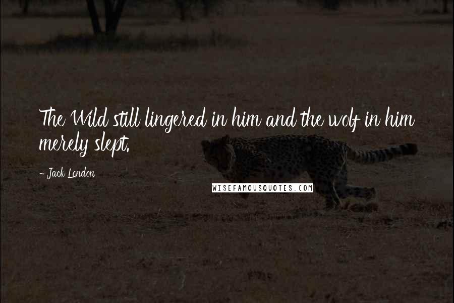 Jack London quotes: The Wild still lingered in him and the wolf in him merely slept.