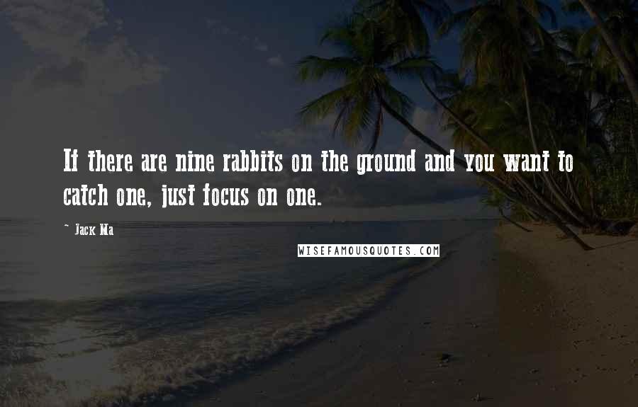 Jack Ma quotes: If there are nine rabbits on the ground and you want to catch one, just focus on one.