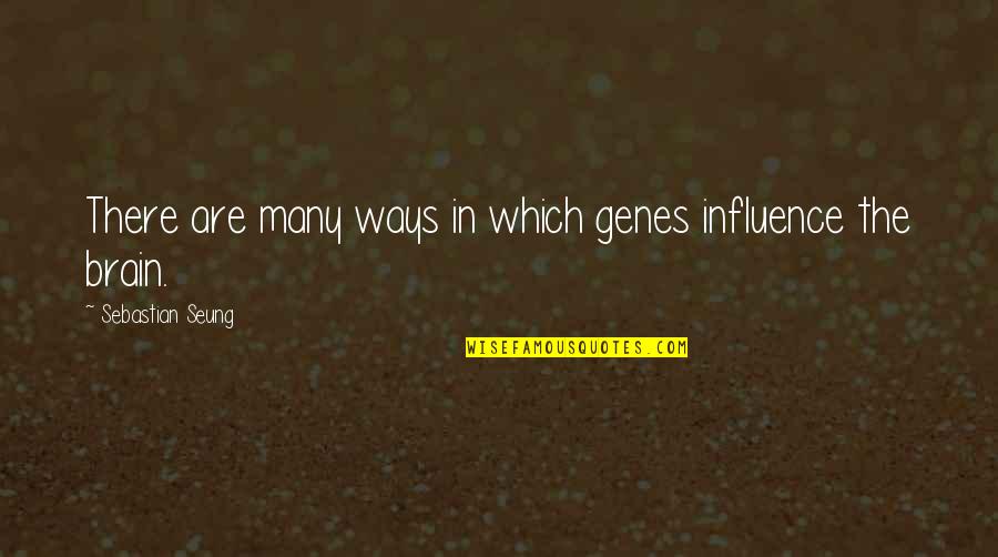 Jack Pardee Quotes By Sebastian Seung: There are many ways in which genes influence