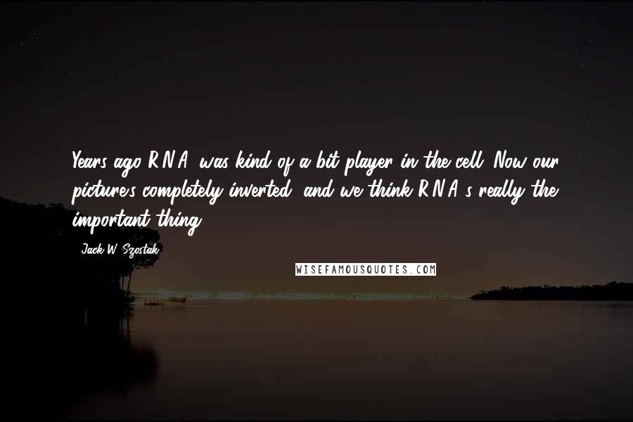 Jack W. Szostak quotes: Years ago R.N.A. was kind of a bit player in the cell. Now our picture's completely inverted, and we think R.N.A.'s really the important thing. Jack W. Szostak quotes: Years ago R.N.A. was kind of a bit player in the cell. Now our picture's completely inverted, and we think R.N.A.'s really the important thing.