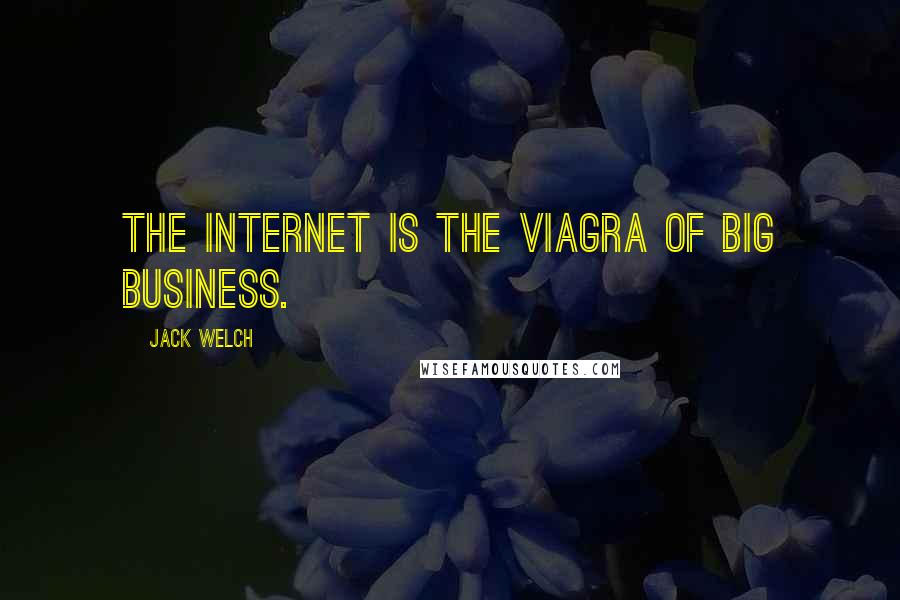 Jack Welch quotes: The Internet is the Viagra of big business.