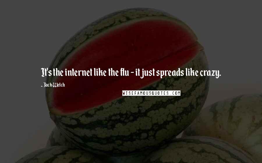 Jack Welch quotes: It's the internet like the flu - it just spreads like crazy.