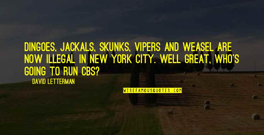 Jackals Quotes By David Letterman: Dingoes, jackals, skunks, vipers and weasel are now