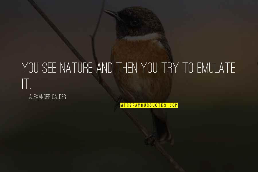 Jackanapes Final Fantasy Quotes By Alexander Calder: You see nature and then you try to Jackanapes Final Fantasy Quotes By Alexander Calder: You see nature and then you try to