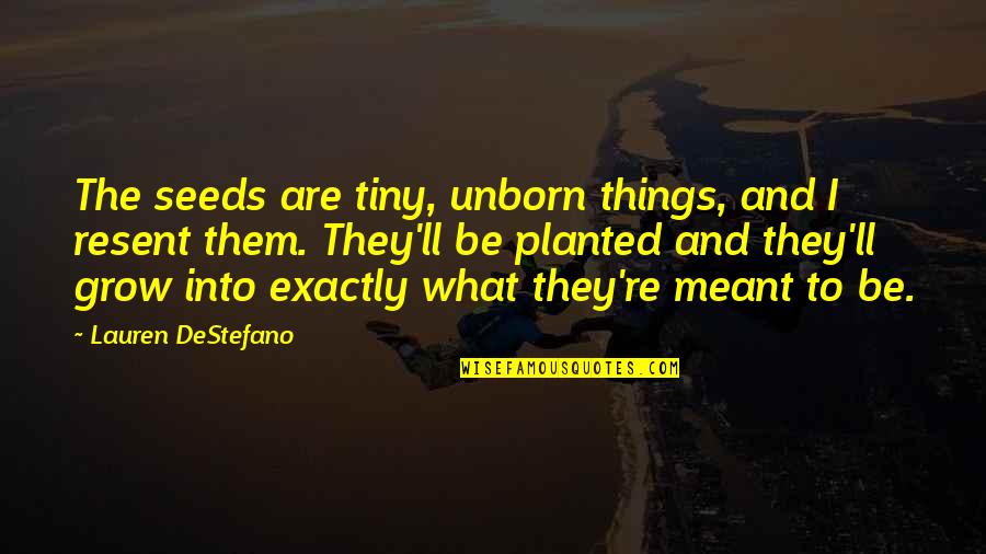 Jackie Treehorn Quotes By Lauren DeStefano: The seeds are tiny, unborn things, and I Jackie Treehorn Quotes By Lauren DeStefano: The seeds are tiny, unborn things, and I
