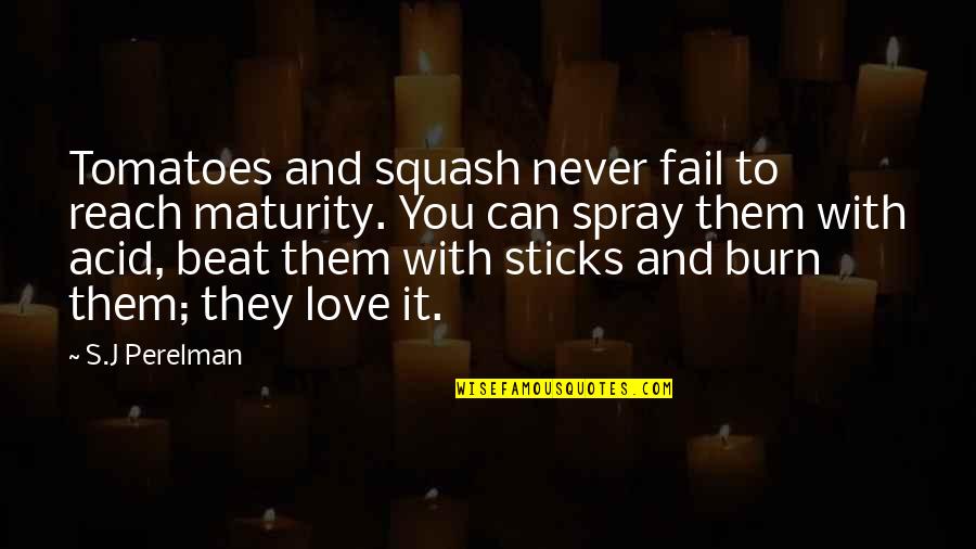 Jackowski Youtube Quotes By S.J Perelman: Tomatoes and squash never fail to reach maturity. Jackowski Youtube Quotes By S.J Perelman: Tomatoes and squash never fail to reach maturity.