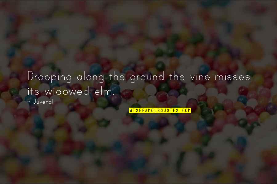 Jackson Brown Quote Quotes By Juvenal: Drooping along the ground the vine misses its